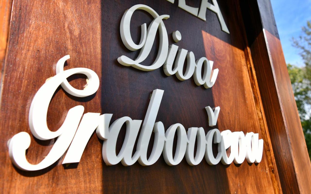 Villa Diva Grabovceva Rakovica Exteriér fotografie